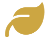 leaf Icon
